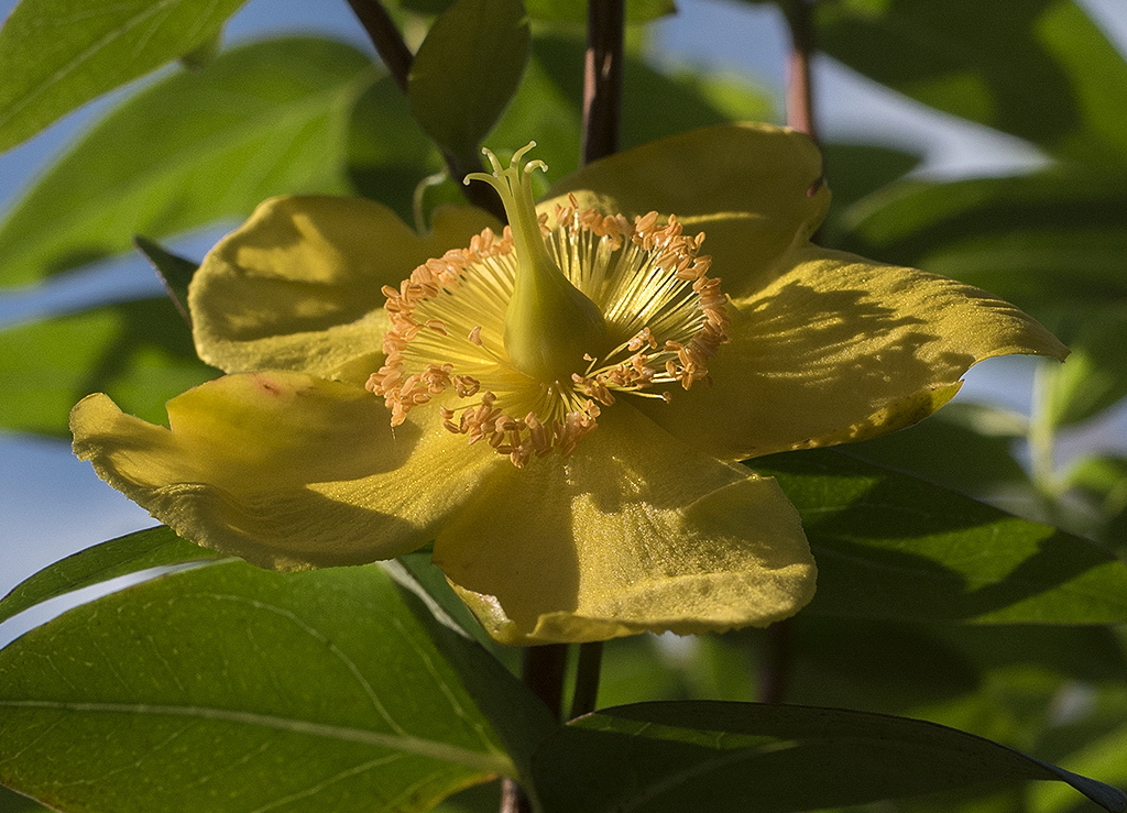A! Tölleturm_0043 als Smartobjekt-1 Kopie.jpg